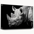 Acrylic wall art featuring a side view of a rhinoceros, designed with vivid colors and intricate details, perfect for wildlife enthusiasts and modern decor.