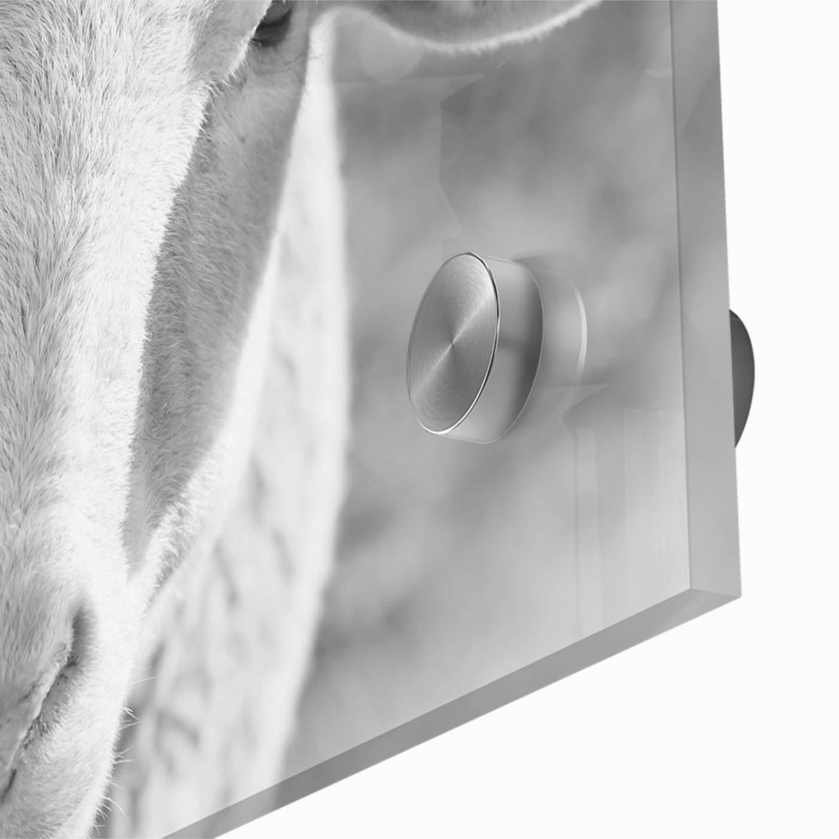 Close-up of an acrylic glass wall art piece showcasing a detailed design of a sheep in a natural setting, emphasizing vibrant colors and intricate textures, perfect for wildlife enthusiasts.