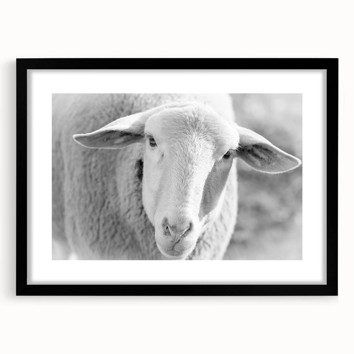 Sheep-themed wall art design framed in black, showcasing a vibrant illustration of a sheep in a natural setting, ideal for nature lovers and home decor enthusiasts.