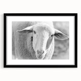 Sheep-themed wall art design framed in black, showcasing a vibrant illustration of a sheep in a natural setting, ideal for nature lovers and home decor enthusiasts.