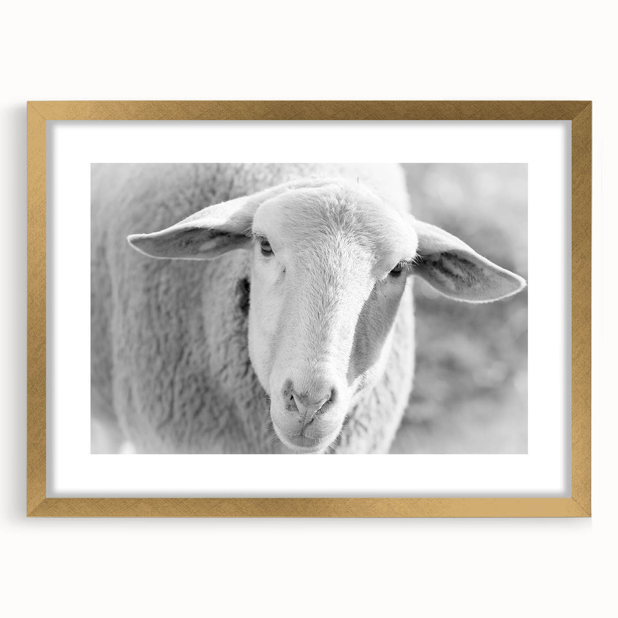 Framed wall art featuring a sheep design in a gold mat, showcasing intricate details and vibrant colors, ideal for adding a touch of nature-inspired decor to any space.