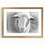 Framed wall art featuring a sheep design in a gold mat, showcasing intricate details and vibrant colors, ideal for adding a touch of nature-inspired decor to any space.