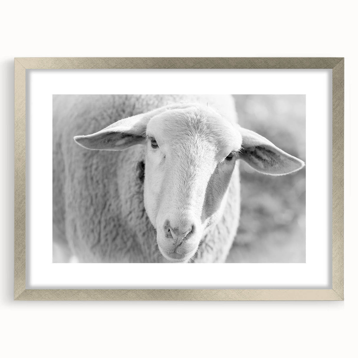 Framed wall art featuring a detailed sheep design in a silver frame, displayed with a white mat, ideal for enhancing home decor with a touch of nature.