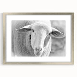 Framed wall art featuring a detailed sheep design in a silver frame, displayed with a white mat, ideal for enhancing home decor with a touch of nature.