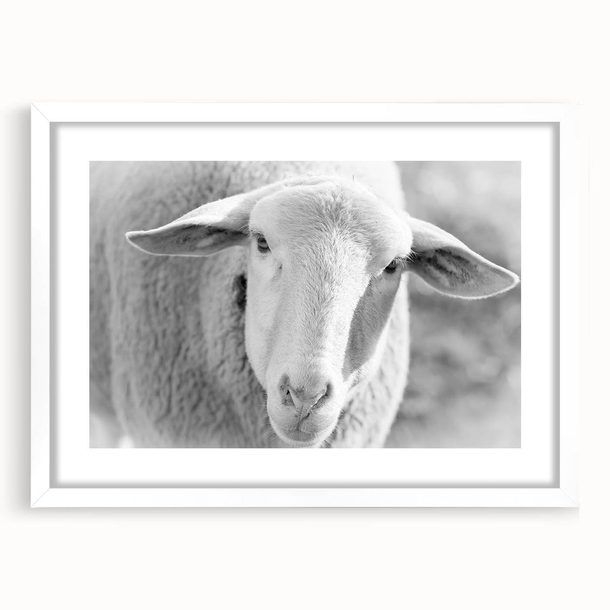 White-framed wall art print featuring a stylized sheep design, showcasing intricate details and vibrant colors, perfect for animal lovers and home decor enthusiasts.