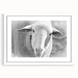 White-framed wall art print featuring a stylized sheep design, showcasing intricate details and vibrant colors, perfect for animal lovers and home decor enthusiasts.