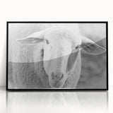 Framed wall art featuring a stylized sheep design in black acrylic, showcasing intricate patterns and textures, perfect for enhancing modern home decor.