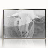 Framed acrylic wall art featuring a serene sheep design from the "Animals A Wild Life" collection, accented with a silver frame, ideal for nature lovers' home decor.