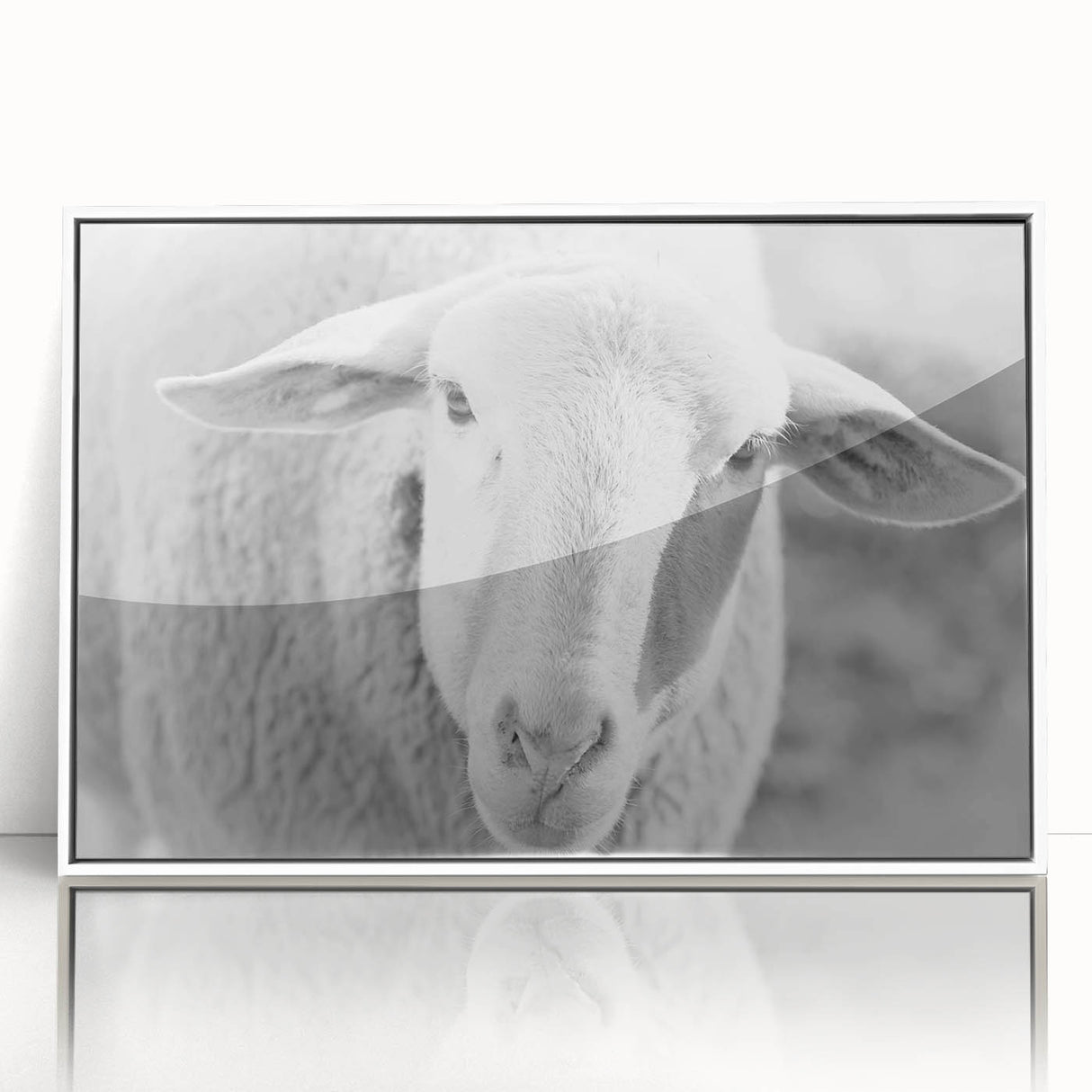 Framed acrylic wall art featuring a minimalist sheep design on a white background, ideal for modern home decor. Perfect for animal lovers and nature enthusiasts.