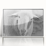 Framed acrylic wall art featuring a minimalist sheep design on a white background, ideal for modern home decor. Perfect for animal lovers and nature enthusiasts.