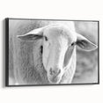 Framed canvas wall art depicting a stylized black and white sheep design, showcasing intricate details against a minimalist backdrop, ideal for modern decor.