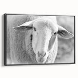 Framed canvas wall art depicting a stylized black and white sheep design, showcasing intricate details against a minimalist backdrop, ideal for modern decor.