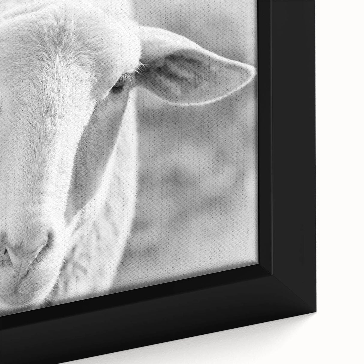 Close-up of a framed canvas wall art featuring an artistic design of sheep in a wild landscape, highlighting intricate textures and earthy tones, perfect for nature lovers.
