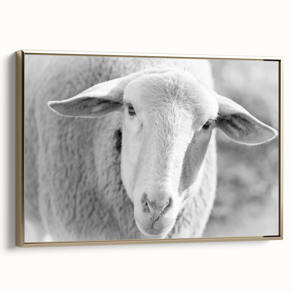 Framed canvas wall art showcasing a stylish sheep design in gold tones, set against a neutral background. Ideal for modern home decor and animal-themed interiors.