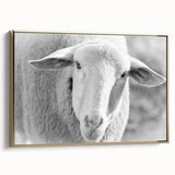 Framed canvas wall art showcasing a stylish sheep design in gold tones, set against a neutral background. Ideal for modern home decor and animal-themed interiors.