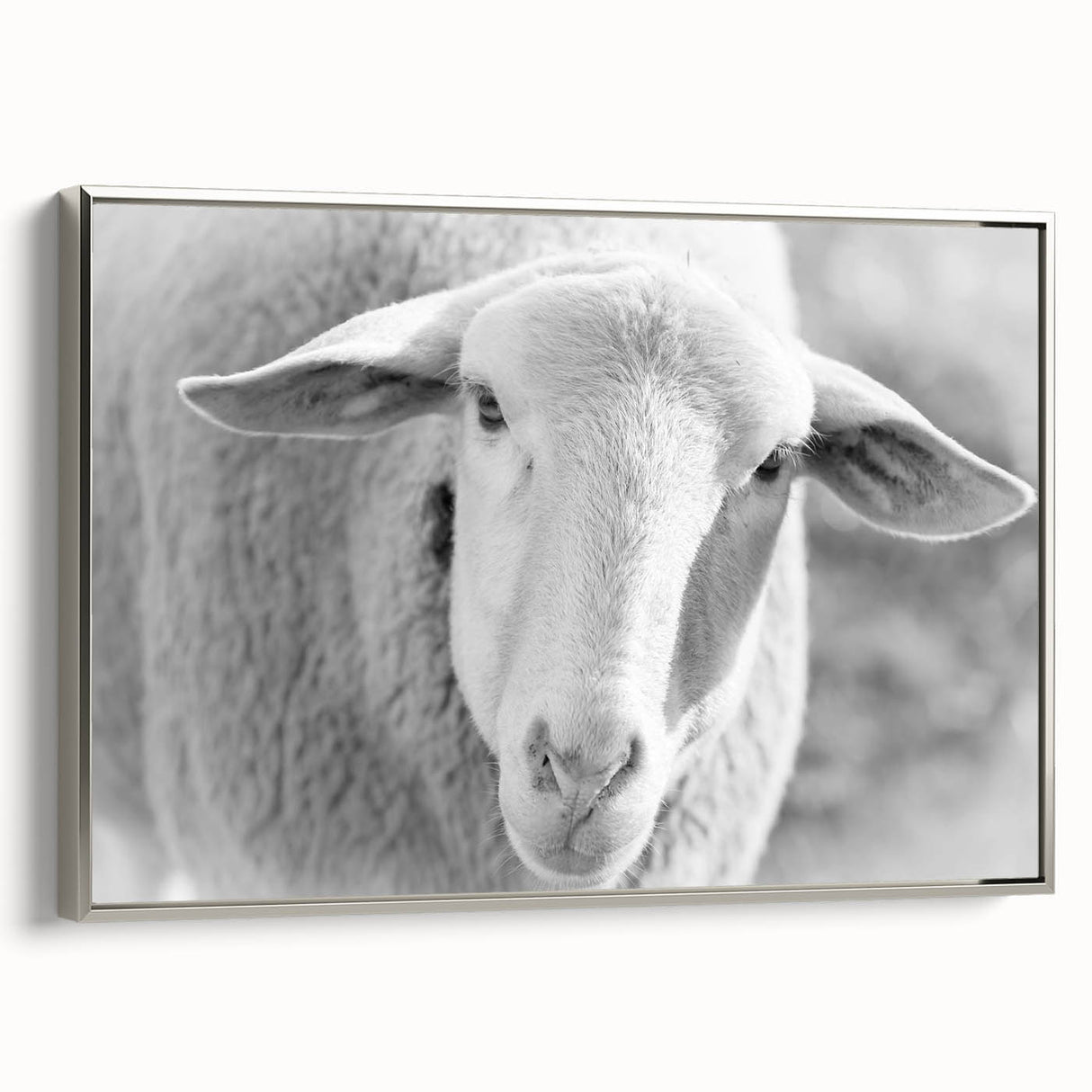 Framed wall art featuring a silver-framed canvas of a serene sheep design, showcasing intricate details and a tranquil color palette, ideal for home decor.