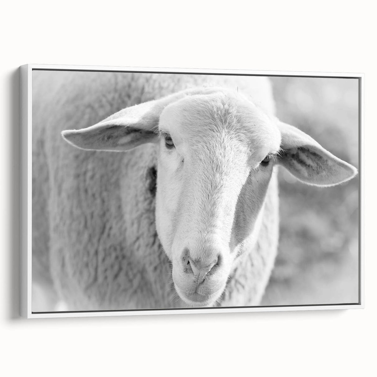 Framed canvas wall art depicting a serene sheep design, showcasing soft white and gray tones. The artwork is elegantly displayed from a side view, perfect for home decor.