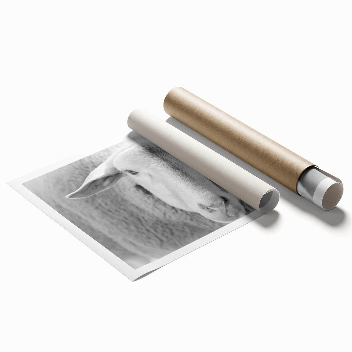 Rolled print artwork depicting a serene sheep design in a natural landscape, perfect for adding a touch of wildlife charm to any room decor.