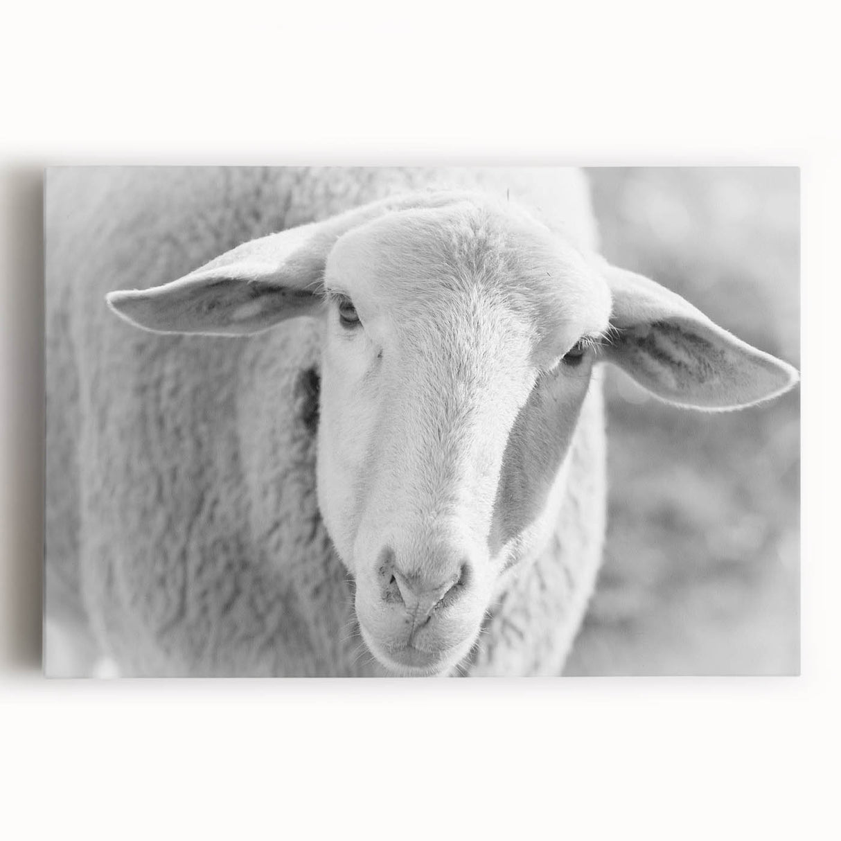 Stretched canvas wall art showcasing a vibrant sheep design in a colorful, abstract style, perfect for animal lovers and modern home decor enthusiasts.