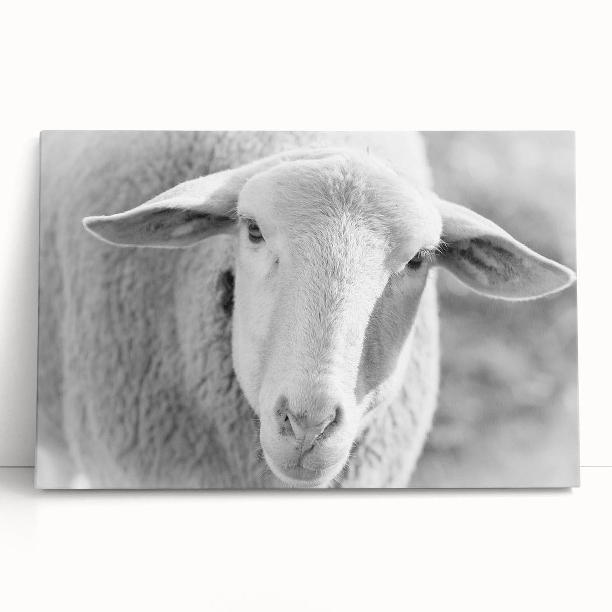 Stretched canvas wall art featuring a serene sheep design in a natural setting, ideal for rustic home decor. The soft colors evoke tranquility, perfect for animal lovers.