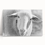 Stretched canvas wall art featuring a serene sheep design in a natural setting, ideal for rustic home decor. The soft colors evoke tranquility, perfect for animal lovers.