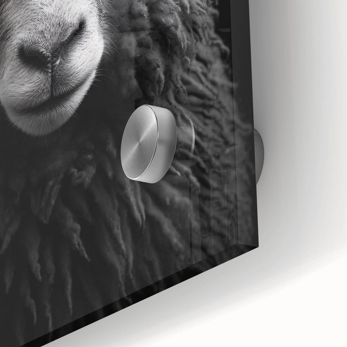Close-up of a colorful acrylic glass wall art piece featuring a detailed sheep design, showcasing lifelike textures and vibrant hues, perfect for animal lovers.