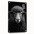 Acrylic wall art featuring a sheep design from the 'Animals in the Wild' collection, showcasing vibrant colors and a side view with decorative pins for easy hanging. Perfect for animal lovers and home decor enthusiasts.