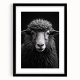 Black framed wall art featuring a sheep design from the "Animals: A Wild Life" collection, showcasing intricate details and a contemporary aesthetic suitable for home decor.