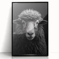 Framed wall art featuring a black acrylic design of a sheep, showcasing intricate details and textures, perfect for adding a rustic charm to home decor.