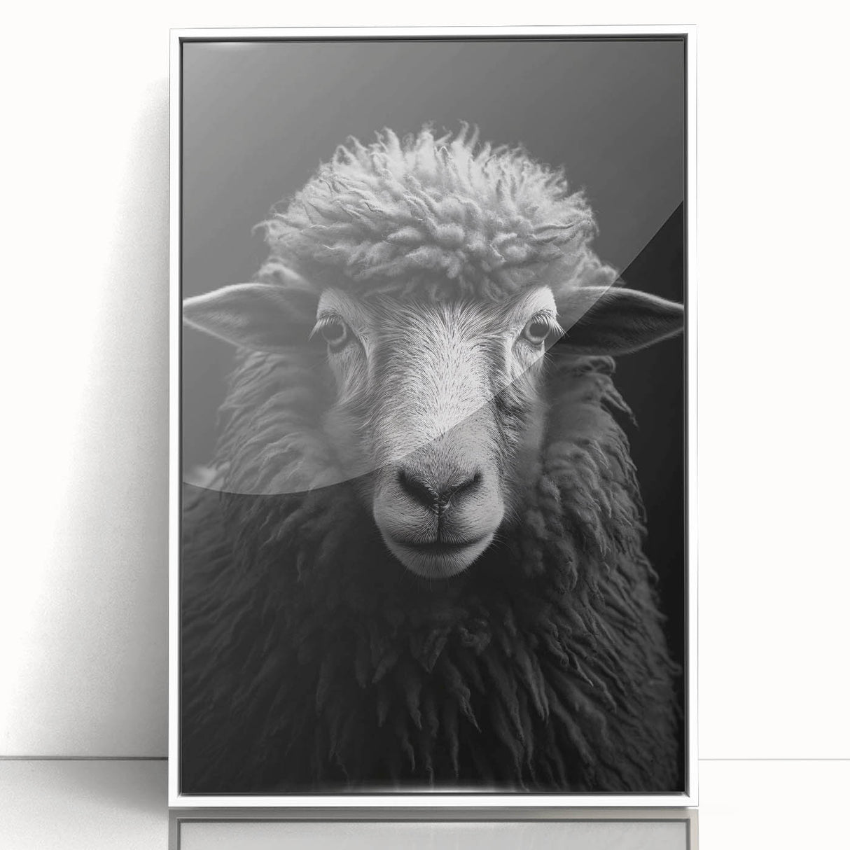Framed wall art featuring a striking sheep design from the "Animals of the Wild" collection, showcased in a sleek white frame with an acrylic front for elegant display.