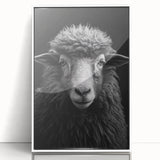 Framed wall art featuring a striking sheep design from the "Animals of the Wild" collection, showcased in a sleek white frame with an acrylic front for elegant display.