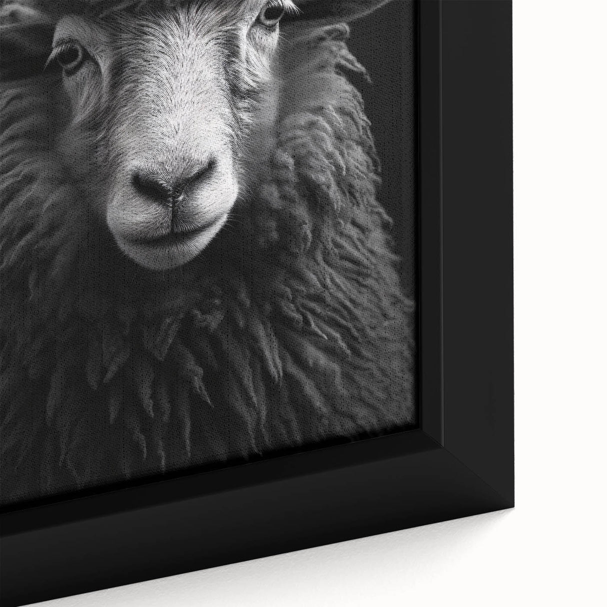 Close-up view of a framed canvas wall art featuring a detailed sheep design, showcasing soft textures and natural colors, perfect for animal lovers and home decor.