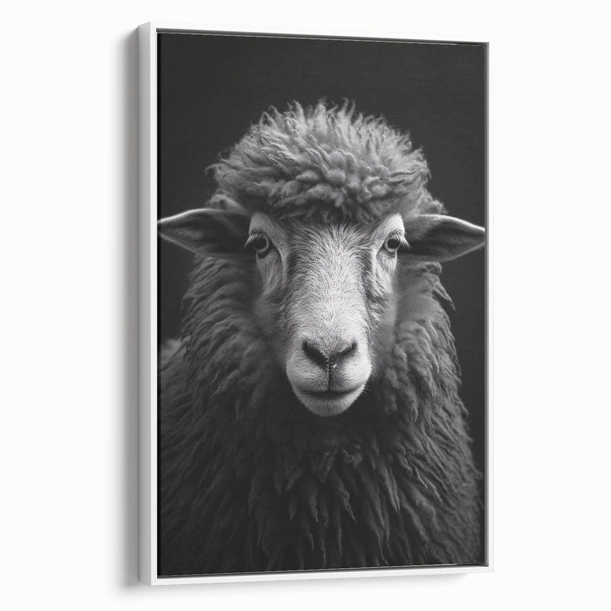 Framed wall art depicting a sheep in a serene white and gray color palette, showcasing a minimalist design perfect for modern decor in living spaces.
