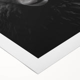 Rolled canvas artwork showcasing a vibrant sheep design from the 'A Wild Life' collection, featuring detailed textures and colors, ideal for home decor.