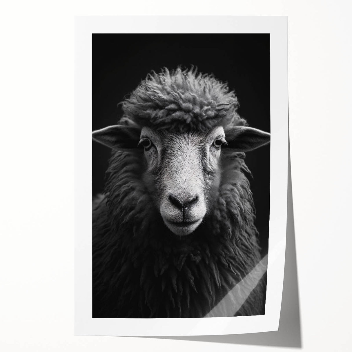 Artistic rolled print showcasing a vibrant sheep design from the "Animals A Wild Life" wall art collection, featuring intricate details and rich colors, perfect for home decor.