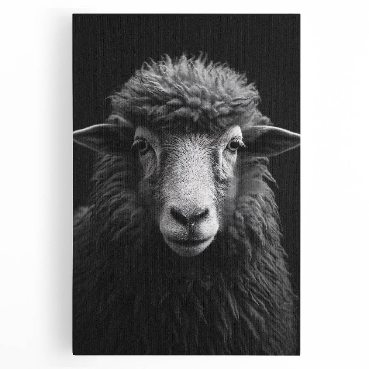 Stretched canvas wall art featuring a detailed illustration of a wild sheep, showcasing natural colors and textures, perfect for nature-themed decor.