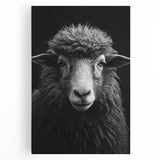 Stretched canvas wall art featuring a detailed illustration of a wild sheep, showcasing natural colors and textures, perfect for nature-themed decor.