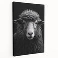 Stretched canvas wall art featuring a side view of a sheep design, showcasing intricate details and vibrant colors, perfect for animal-themed decor in homes.