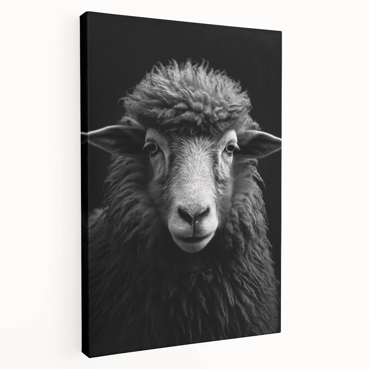 Stretched canvas wall art featuring a side view of a sheep design, showcasing intricate details and vibrant colors, perfect for animal-themed decor in homes.