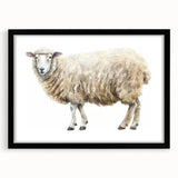 Black-framed wall art featuring a whimsical sheep design from the "Animals of the Wild" collection, ideal for adding charm to children's rooms or nursery decor.