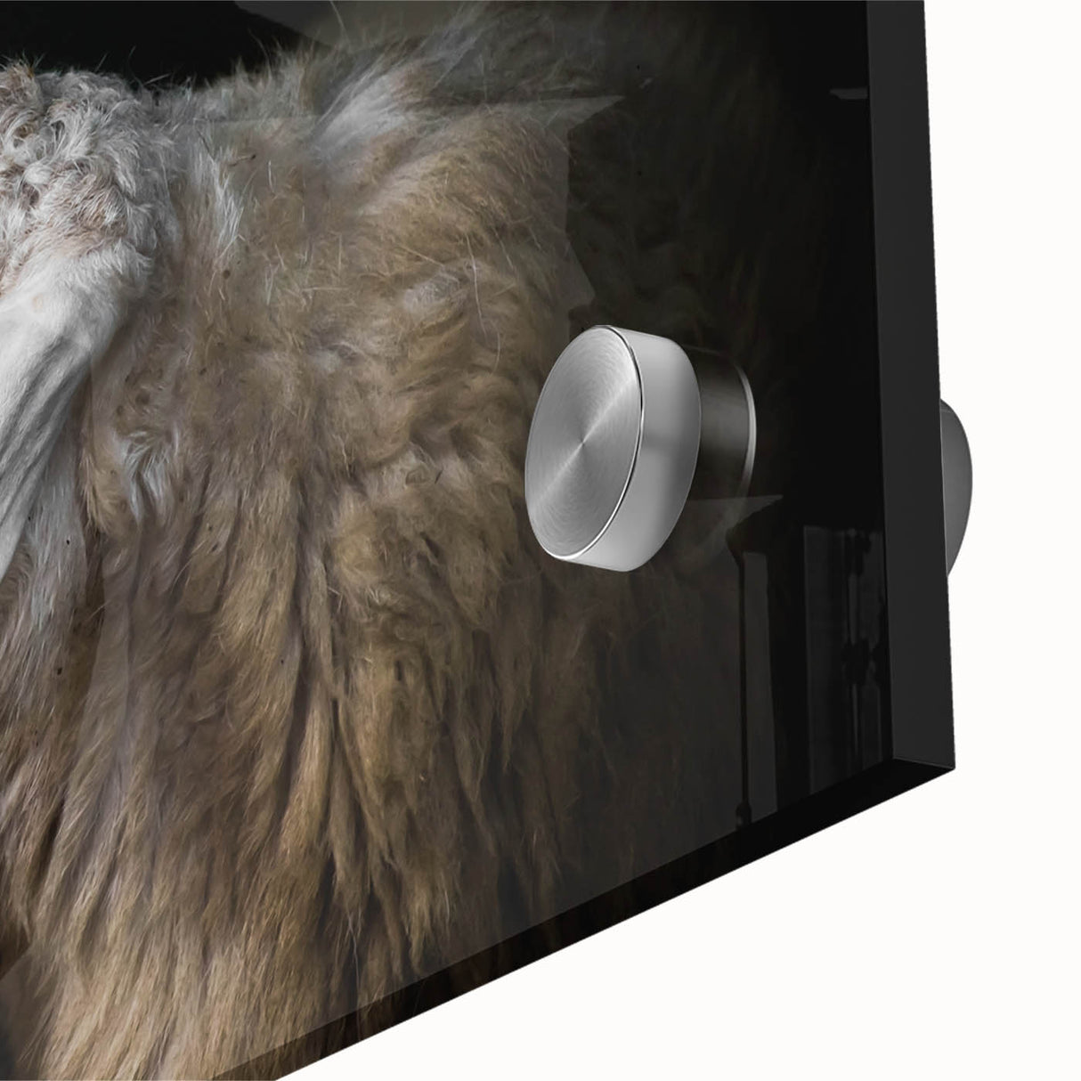 Close-up of a vibrant sheep design wall art piece featuring intricate details and colors, printed on acrylic glass, ideal for modern home decor. Perfect for animal lovers and those seeking unique wildlife-themed art.