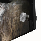 Close-up of a vibrant sheep design wall art piece featuring intricate details and colors, printed on acrylic glass, ideal for modern home decor. Perfect for animal lovers and those seeking unique wildlife-themed art.