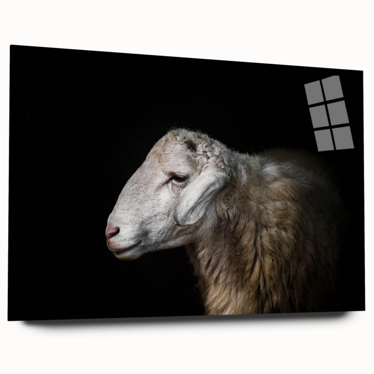 Side view of a sleek acrylic glass wall art piece featuring a whimsical sheep design in vibrant colors, perfect for animal lovers and home decor enthusiasts.