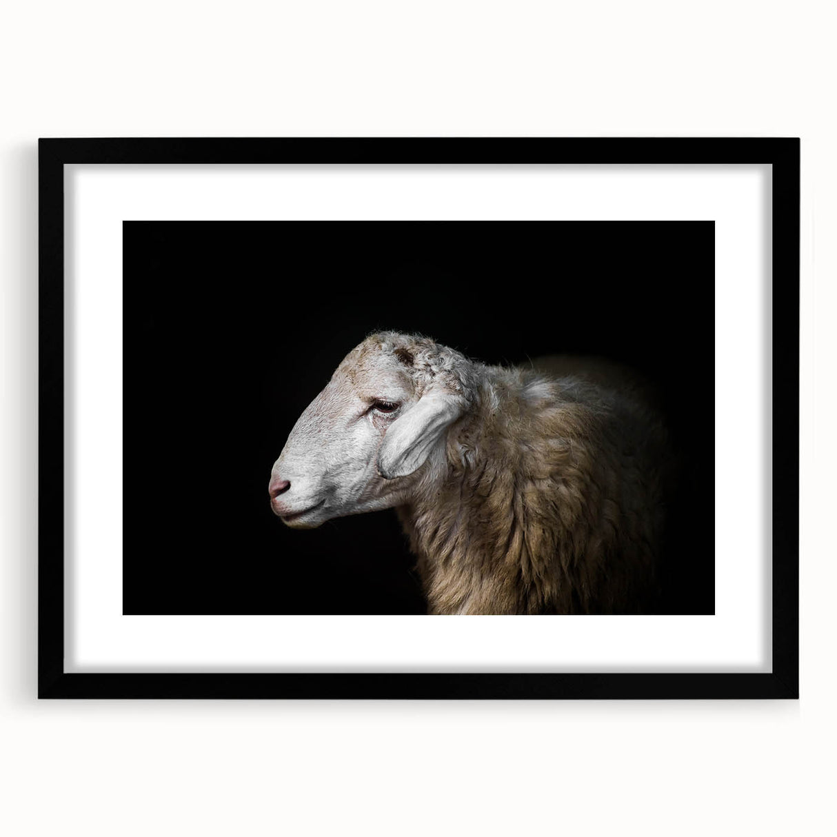 Framed wall art collection featuring a striking sheep design against a black background, ideal for animal lovers and modern home decor. Perfect for adding a touch of nature-inspired elegance to any room.