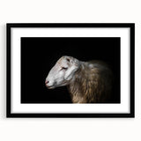 Framed wall art collection featuring a striking sheep design against a black background, ideal for animal lovers and modern home decor. Perfect for adding a touch of nature-inspired elegance to any room.