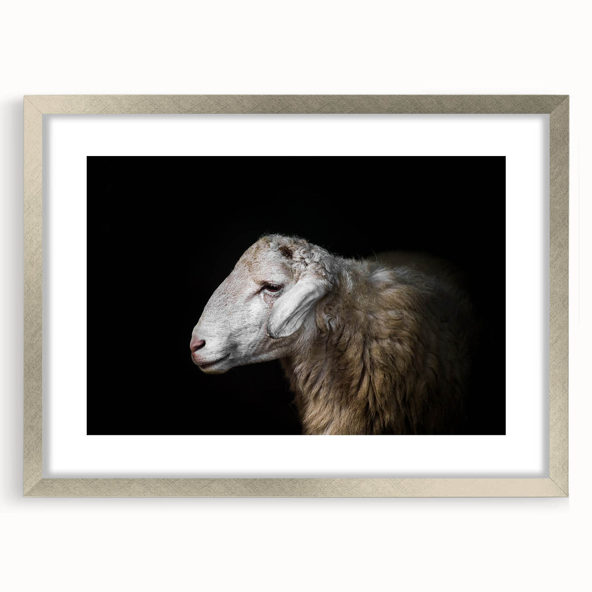 Framed wall art collection featuring a serene sheep design in silver frame with matting, perfect for enhancing home decor and adding a touch of nature.