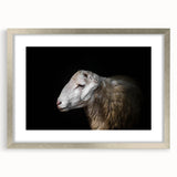 Framed wall art collection featuring a serene sheep design in silver frame with matting, perfect for enhancing home decor and adding a touch of nature.
