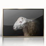 Framed wall art featuring a vibrant sheep design, showcasing intricate details and golden accents, perfect for animal lovers and home décor enthusiasts.