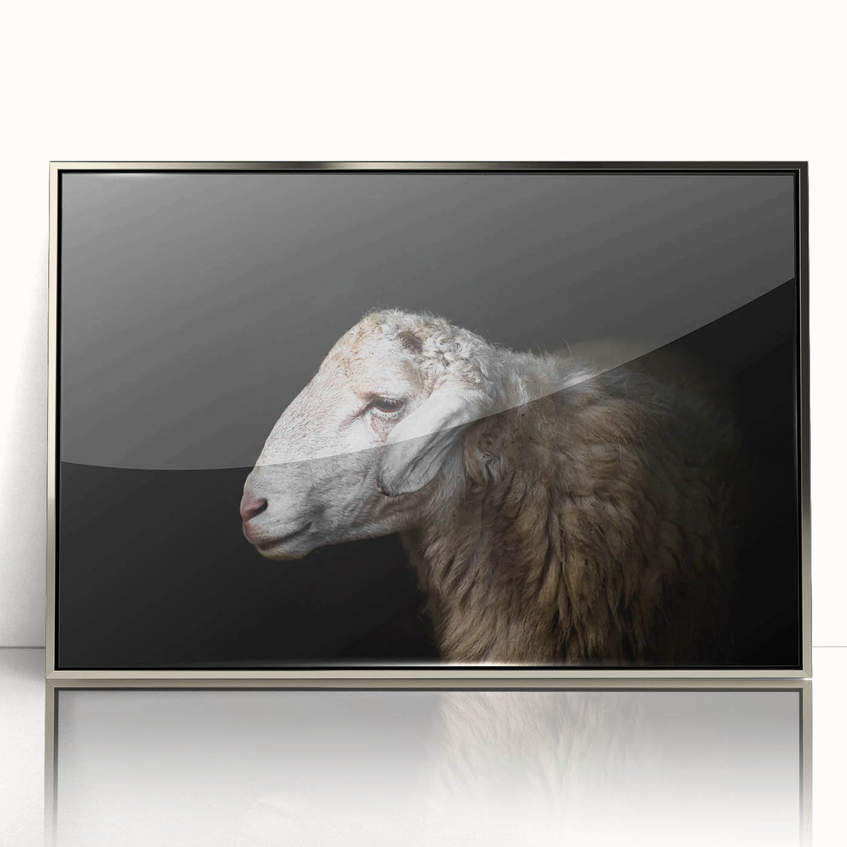 Framed wall art featuring a sheep design from the "Animals: A Wild Life" collection, displayed with a sleek silver border, perfect for enhancing modern decor.