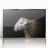 Framed wall art featuring a sheep design from the "Animals: A Wild Life" collection, displayed with a sleek silver border, perfect for enhancing modern decor.